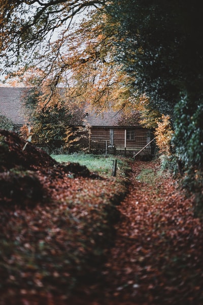 Surrounded by a tree house during the day
